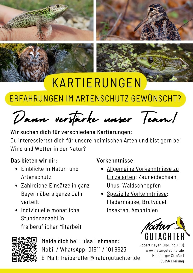 20250318 Jobaushang Kartierhelfer Allgemein
