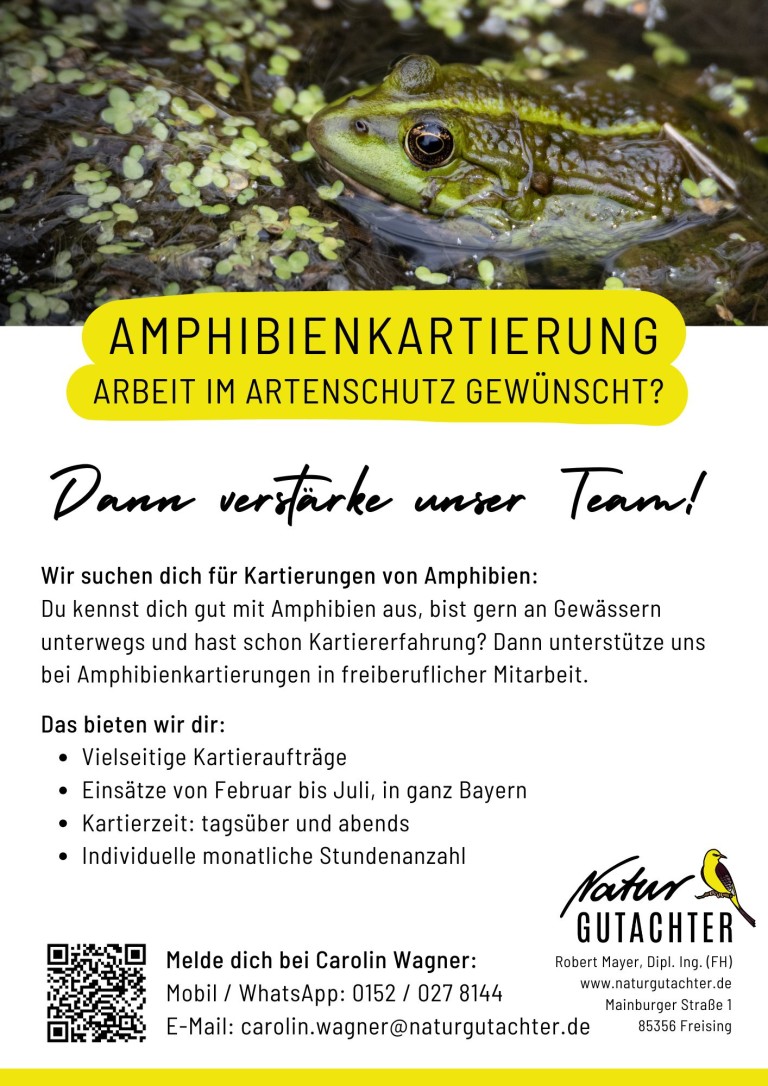 20250318 Jobaushang Kartierhelfer Amphibien