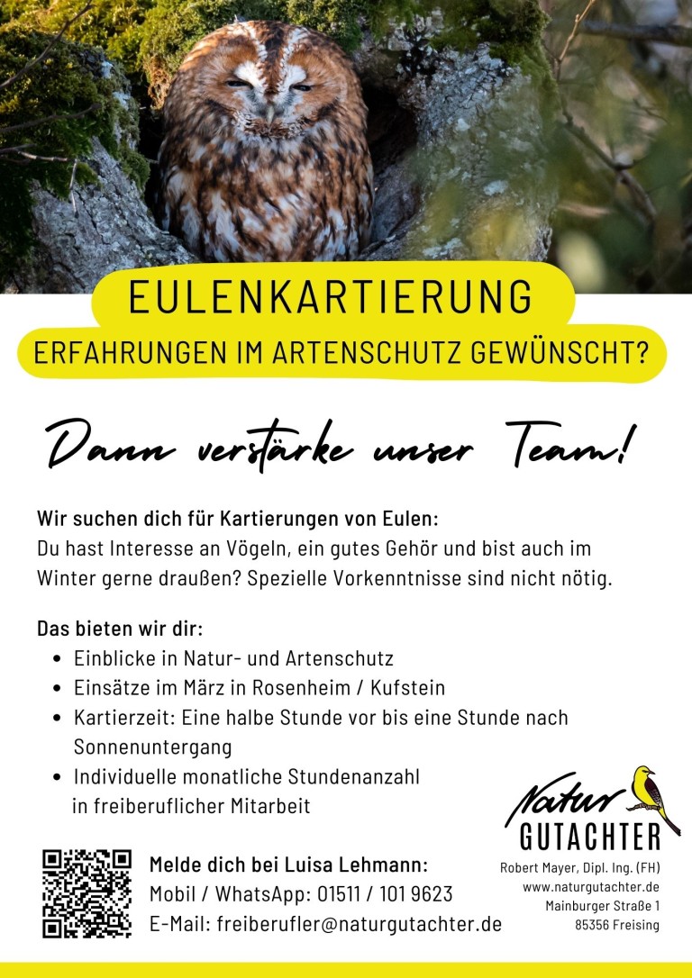 20250318 Jobaushang Kartierhelfer Eulen