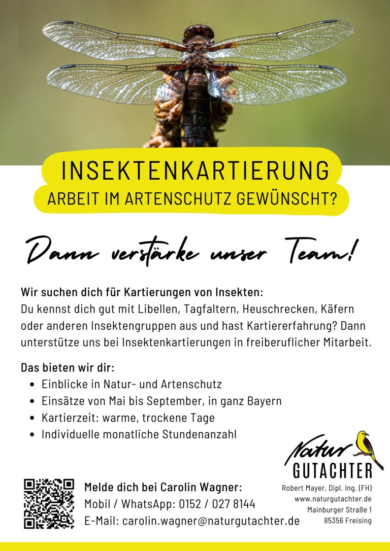 20250318 Jobaushang Kartierhelfer Insekten