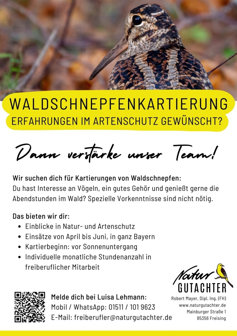 20250318 Jobaushang Kartierhelfer Waldschnepfe