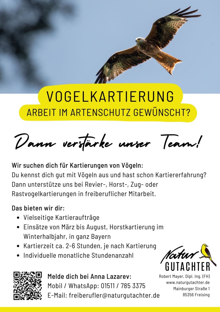 20250324 Jobaushang Kartierhelfer Vogel