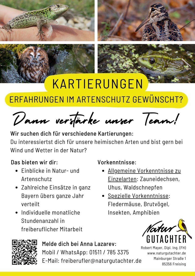 20250728_Jobaushang_Kartierhelfer_Allgemein_TS