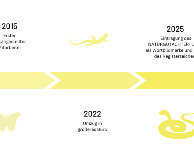 20260811_Timeline-Website_TS