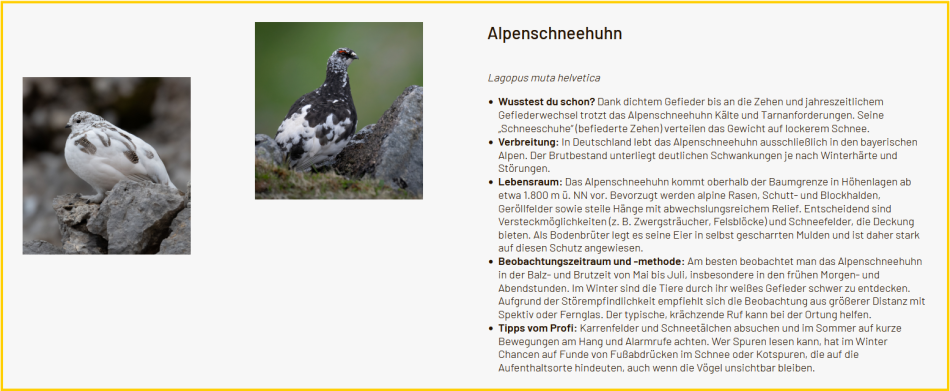 Screenshot_Artensteckbrief3a