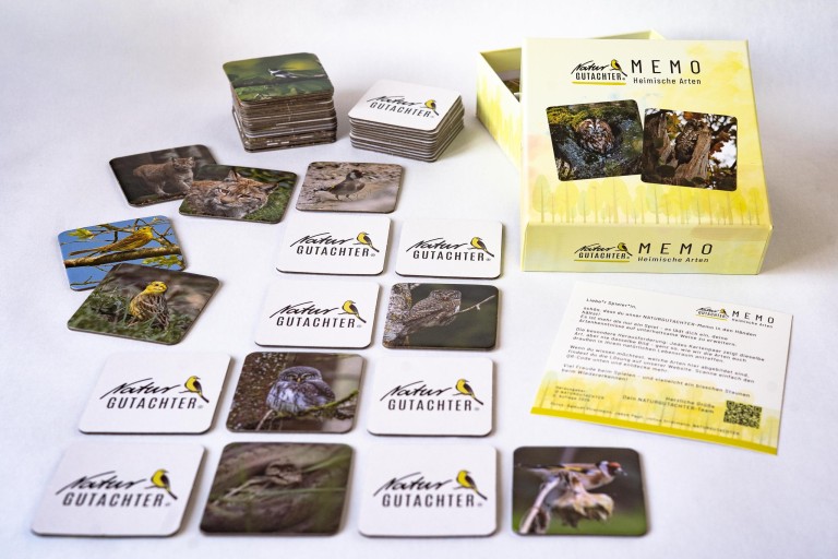 THE06017-edited.GenV1