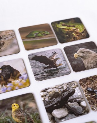 THE06057_edited.GenV1